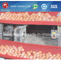 Chicken Farming Equipment for Chicken Layers